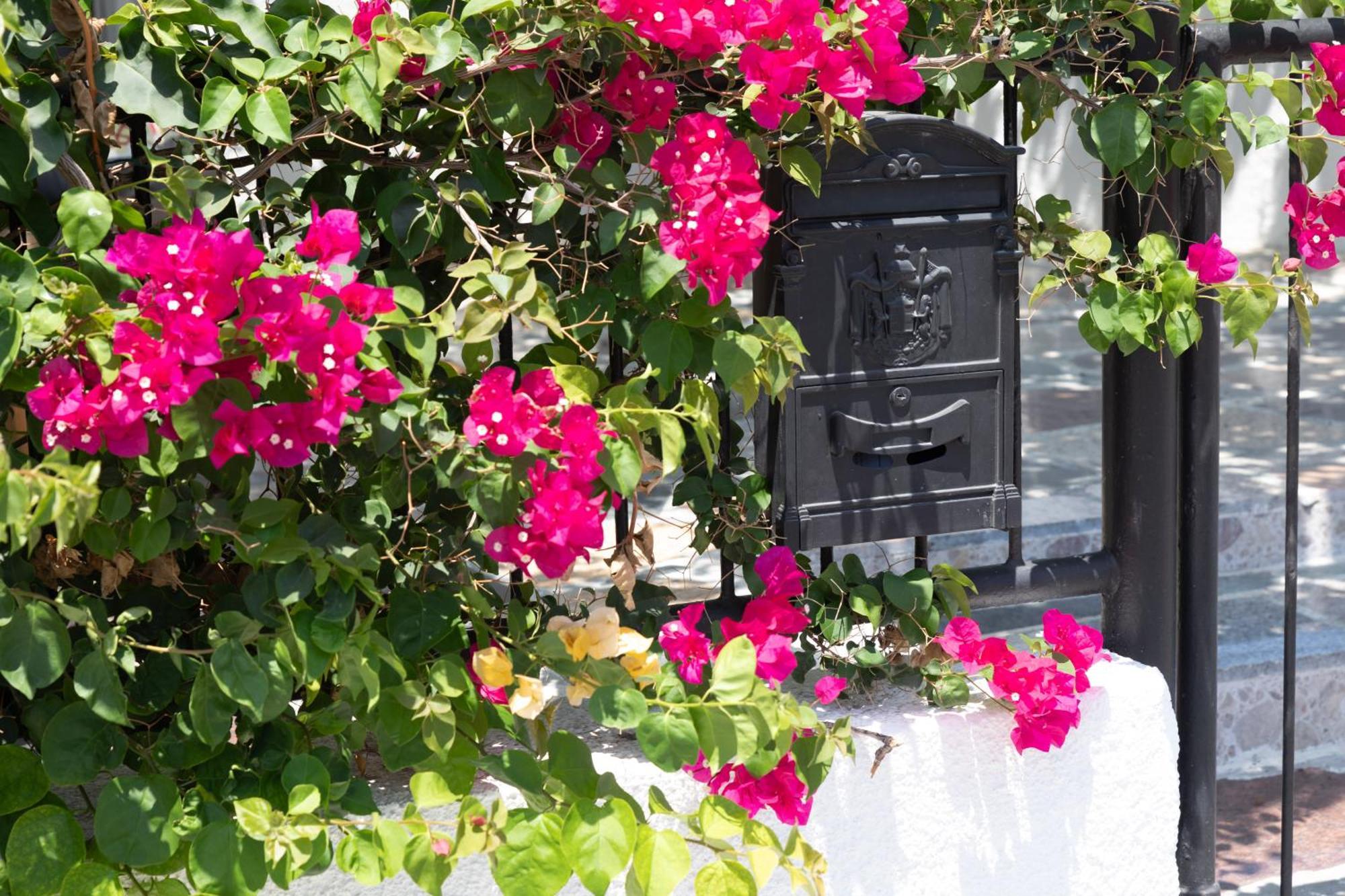 Limassol Akrotiri Beach Vine Cottage A Экстерьер фото